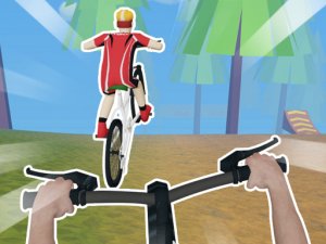 Bicycle Rush 3D Online Arcade Game