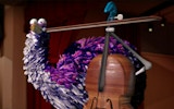 Viola the Bird Musical Arcade Online Game